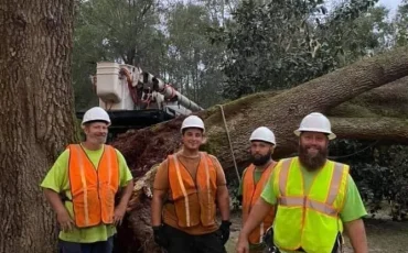 Tree Services in Pace, FL, and Across Northwest Florida (1)