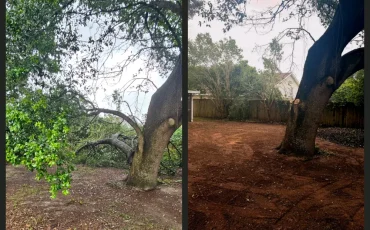 Tree Services in Pace, FL, and Across Northwest Florida (6)